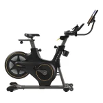 Close-up of the 22" IX HD Display on the Bike ICR50 Matrix 22 inch IX, showing streaming content