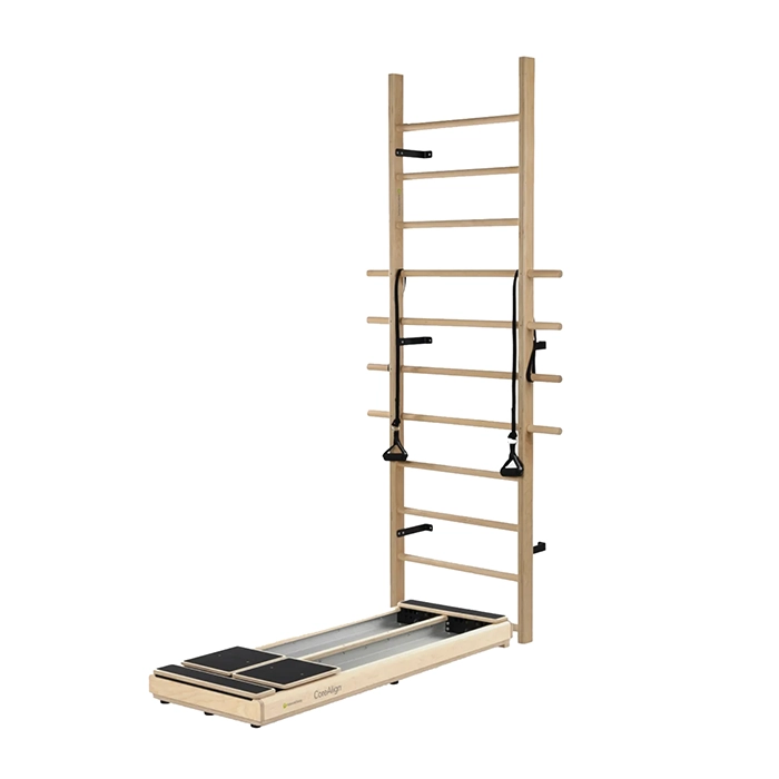 CoreAlign with Wall Mounted Ladder base unit with dual carts and wall mounted ladder CoreAlign with Wall Mounted Ladder base unit with dual carts and wall mounted ladder