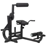 The 2-in-1 Upper Body Seated Ab Back Extension Machine, showcasing its robust frame and ergonomic design for core exercises