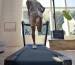 Man running on a premium treadmill in a modern home gym